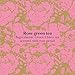 Kusmi tea rose green tea 20 muslin tea bags 1.55 oz net wt