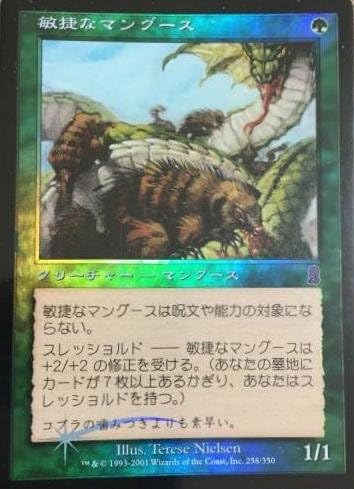 Amazon マジックザギャザリング Mtg 緑 日本語版 敏捷なマングース Nimble Mongoose Ody 258 アンコモン Foil トレカ 通販
