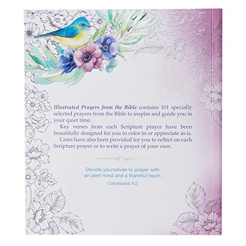 Illustrated Prayers from the Bible: A Creative Prayer Book