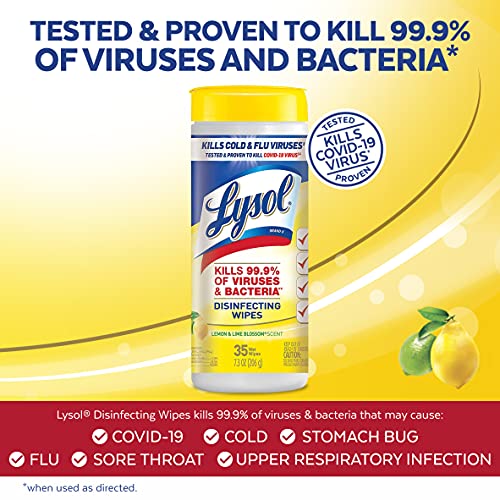 Lysol Disinfectant Wipes, MultiSurface Antibacterial Cleaning Wipes