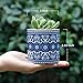 Greenaholics Succulent Plant Pots - 3 Inch Small Ceramic Flower Planter Indoor with Drainage Hole and Bamboo Saucer for Medium Succulents or Mini Cactus - Mandala Blue and White Set of 2