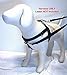 Freedom No-Pull Harness ONLY (1
