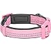Blueberry Pet Dog Collar for Medium & Small Dogs, Pink Reflective Girl Dog Collar, Padded Neoprene Comfort, Adjustable 14.5