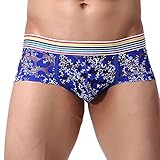 Hot Sale!Men's Underwear, Neartime Men Transparent Underwear Shorts Briefs Underpants (L, Blue)