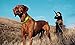 Lambow Dog Trainning Collar, Kal