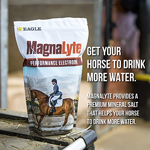 MagnaLyte Loose Salt and Electrolytes for Horses by Eagle Equine Mineral sea Salt, Trace