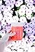 JarJackets Silicone Mason Jar Protector Sleeve - Fits Ball, Kerr 16oz (1 pint) WIDE-Mouth Jars | Package of 3 (Poppy) …