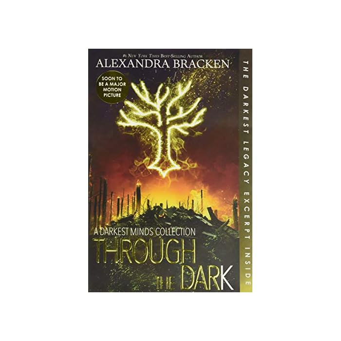 Buy Through The Dark Bonus Content A Darkest Minds Collection Darkest Minds Novel A Online At Desertcart Botswana