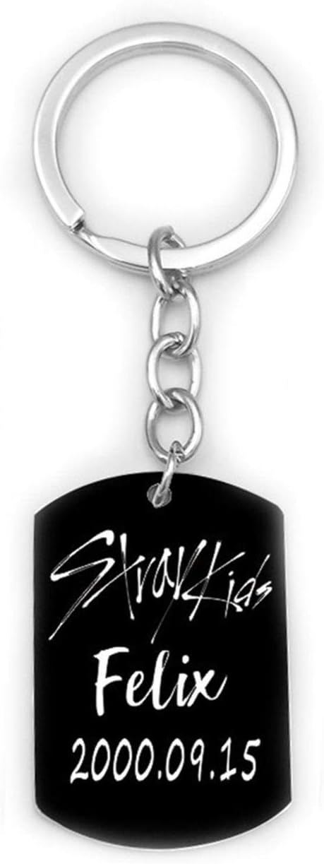zhengao Upgraded Version KPOP Stray Kids Straykids Keychain Titanium Steel Key Ring Key Holder Key Lanyard Hot Gift for Straykids Fan(None Style 1)