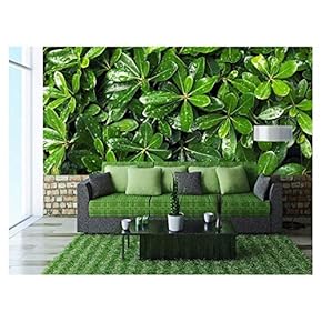 Green Leaf Background with Water Droplets After rain - Removable Wall Mural | Self-Adhesive Large Wallpaper - 66x96 inches