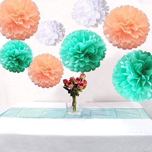 Set of 6 Mixed Pastel Color Peach Mint White Wedding Flower DIY Tissue Paper Pom Poms Birthday Party Girl Room Hanging Decoration