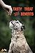 Buddy & Lola Dogs Chews for All Breeds and Sizes - Natural Dog Probiotics Improve Digestion, Help The Immune System, Settle an Upset Stomach Made in USA