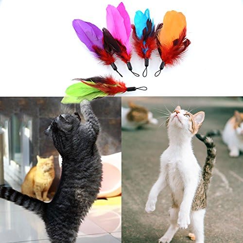 Telescopic Wand Kitty Cat Toy- HapaUS Rod Spin Feathers Wand Kitty Cats Catcher,And Fishing Pole Teaser For Kitty Cat with Guinea Feather Bird And Coon Tail Toys (5 Packs)