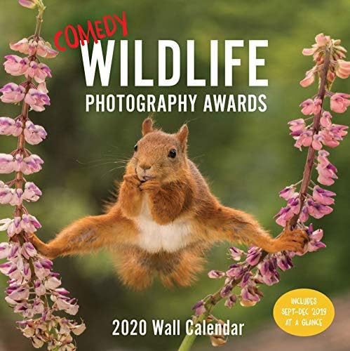Comedy Wildlife 2020 Wall Calendar
