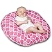 Boppy Newborn Lounger, French Rose