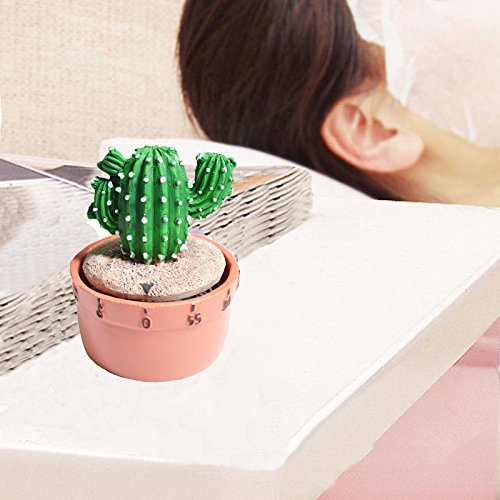GIFTME 5 Fairy Castle Cactus Kitchen Timer Cooking Timer