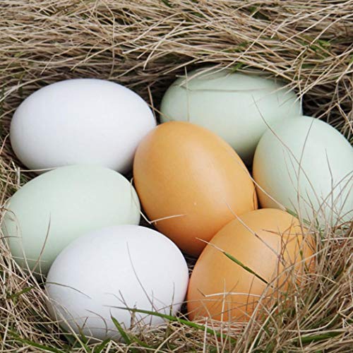 5 Eadear+Simulation+Educational+Development+Education