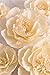MEJOY Crepe Paper Flowers Decoration for Wall, Flowers for Wedding Decor,Flower Backdrop Decor,Baby Shower,Birthday Party,Photo Backdrop,Archway Decor, Nursery Wall Decor(Beige,Set of 6)