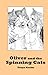 Oliver and the Spinning Cats by 