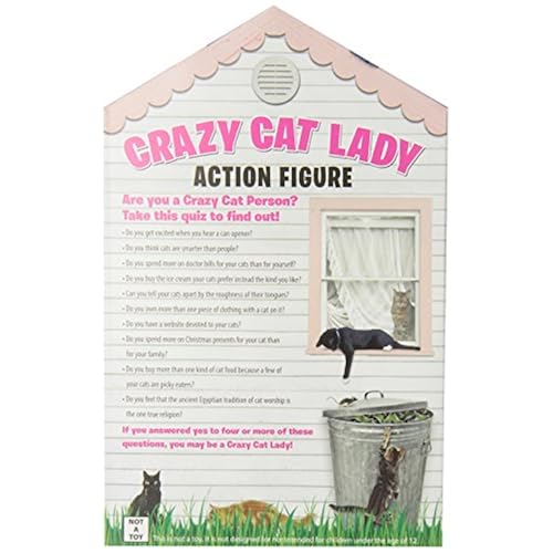 Accoutrements Crazy Cat Lady Action Figure Set Toys & Games, Action Figures & Statues, Accessories