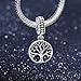 ANGEMIEL 925 Sterling Silver Charms 