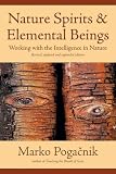 Nature Spirits & Elemental Beings: Working with the Intelligence in Nature by Marko Pogacnik