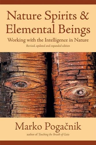 Nature Spirits & Elemental Beings: Working with the Intelligence in Nature by Marko Pogacnik
