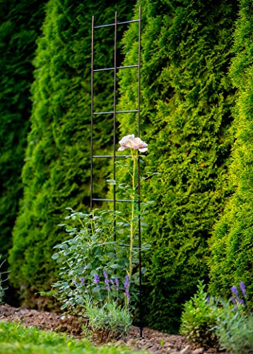 KADAX Rankgitter, Rankhilfe aus Stahl, Wandgitter für Pflanzen, Garten, Balkon, Terrasse, Drahtgitter, Kletterhilfe, Pflanzengitter, Spalier, wandbefestigung, schwarz (35 x 120 cm) – Bild 7