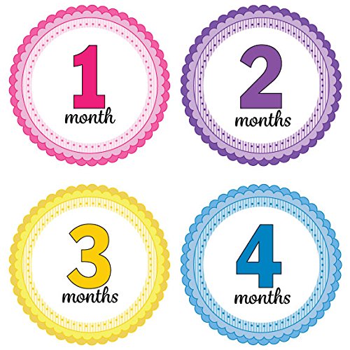 24 Pack Baby Month Stickers and Milestone Stickers by Kenco - Track Your Baby's First Year Month-by-Month and Holidays! Boys and Girls' Available (Girl)