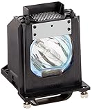 Mitsubishi 915P061010 Replacement Lamp w/Housing 6,000 Hour Life & 1 Year Warranty