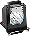 Mitsubishi 915P061010 Replacement Lamp w/Housing 6,000 Hour Life & 1 Year Warranty
