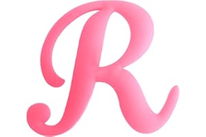 WISH YOUNG 3PCS Letter Charms Compatible with Bogg Bags,2.75 in Large Size Bag Inserts Accessories Decorative Charm for Beach Bag (Hot pink, R)