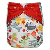 EcoAble Baby Charcoal Bamboo All-In-One AIO Cloth Diaper w/ Pocket, Size 10-35Lb (Christmas, Limited Edition)