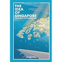 Idea Of Singapore, The: Smallness Unconstrained (Ips-nathan Lecture Series Book 0) book cover