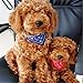 Lovely Pet Dog Cat Small Bandana Scarf Neckerchief Blue