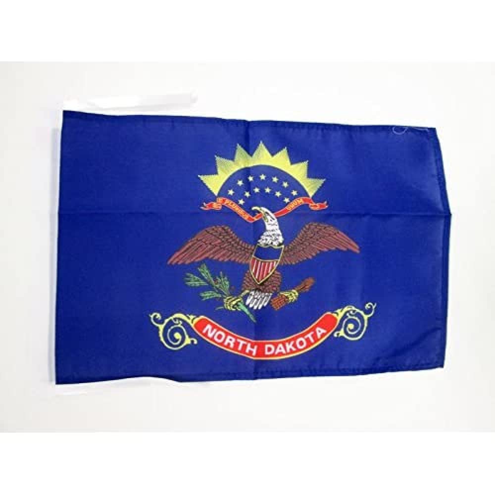 AZ FLAG - North Dakota Flag - 18'' x 12'' - 100% Polyester US state of Dakota du Nord Small Banner with Two Cords - Fade Resistant - Vivid Colors - 18x12 in - 45x30 Cm — image 1