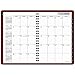 DayMinder Monthly Planner / Appointment Book 2017, Premiere, 7-7/8 x 11-7/8