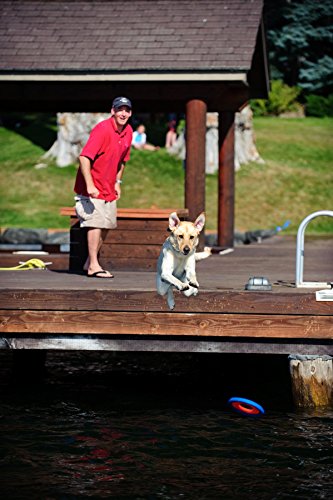 Chuckit! Zipflight Flying Disc Dog Toy, Medium (8.5