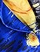Salutto Women 100% Silk Scarves Van Gogh Painted Starry Night Scarf