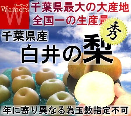 Amazon 千葉県 白井 旬の梨 大玉限定 5kg 秀品 贈答用 産地から玄関へ 果物 通販 Amazon 千葉県 白井 旬の梨 大玉限定 5kg 秀品 贈答用 産地から玄関へ 果物 通販