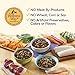 Wellness Complete Health Grain-Free Dry Dog Food, Natural Ingredients, Made in USA with Real Meat, For All Lifestages (Whitefish, 24-Pound Bag)