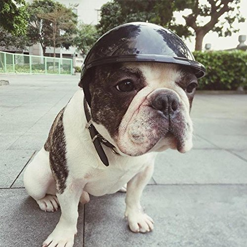 Petacc Plastic Pet Hard Hat Decorative Dog Helmets Hat Creative Cat Helmets Cap Portable Pet Safety Helmets, Black, M - Thumbnail 3
