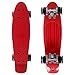 Ancheer Mini Complete Skateboard 22" Flashing Wheels Skateboard