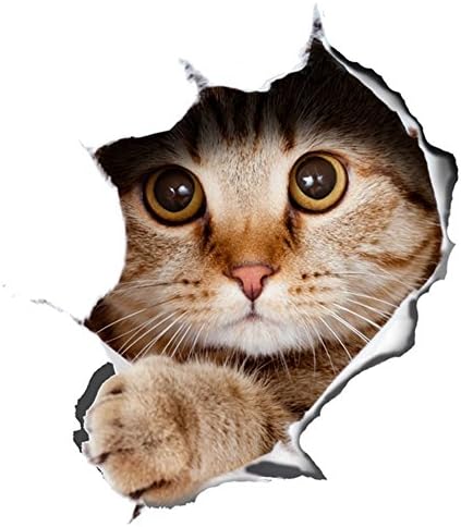 WMdecal Removable 3D Vivid Kids Room Decors Peel & Stick Wall Arts Decals Stickers Murals