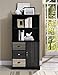 Ameriwood Home Mercer Storage Bookcase with Multicolored Door and Drawer Fronts, Black