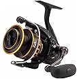 Daiwa BG Saltwater Spinning Reel, Black/Gold