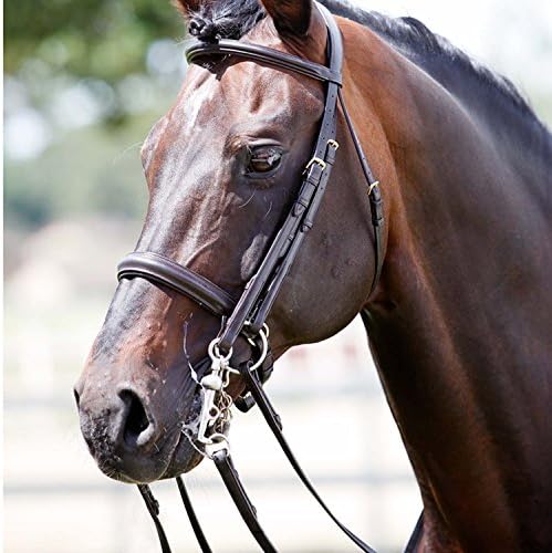 TATTINI since 1860 - Bridle Curb/snaffle Shaped Raised Eco Double Reinsn - Italian Fashion Design