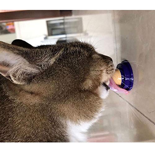 AUOKER Cat Treats Catnip Sugar, Catnip Cat Snacks Licking with Isinglass and Trace Elementsfor for Kittens Cats Pet, Interactive Solid Nutrition Gel Energy Ball with Catnip Toys (Catnip, 1pc)