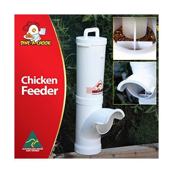 DINE A CHOOK 3.5l alimentatore - il cibo non più sprecato!