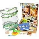 Insect Lore Live Butterfly Growing Kit Toy - 5 Caterpillars to Butterflies - SHIP NOW
